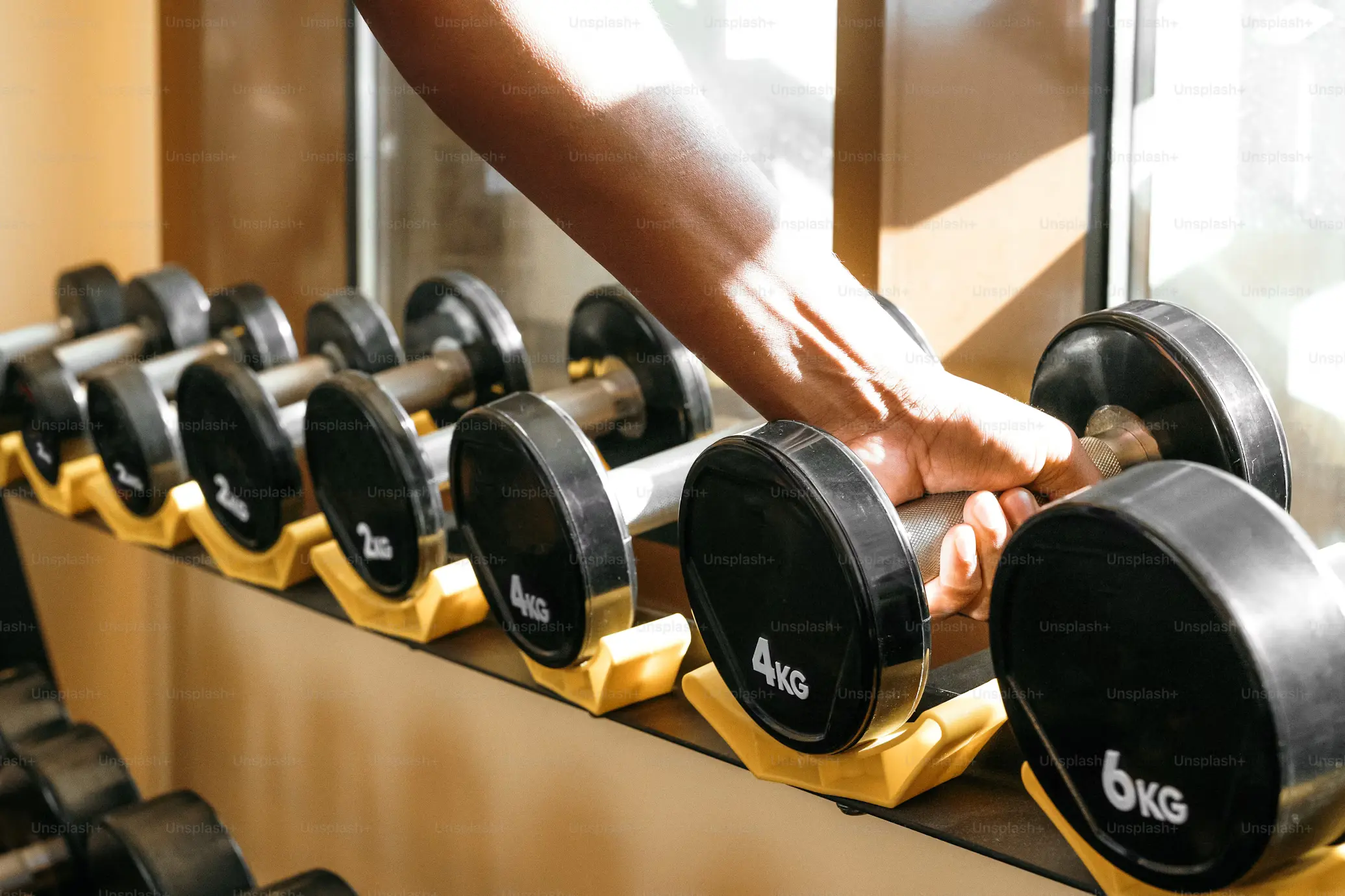 Área de entrenamiento